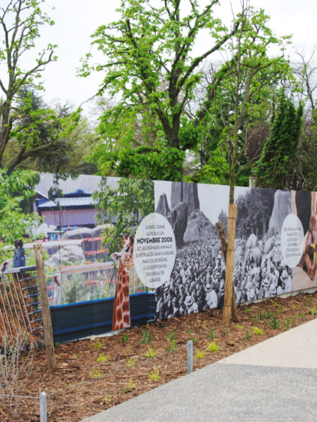 zoo-paris-palissade-chantier-communication