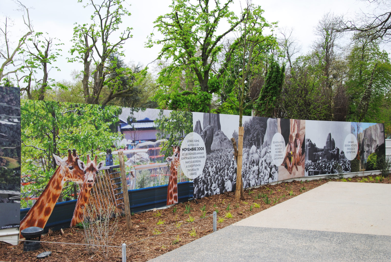 zoo-paris-palissade-chantier-communication